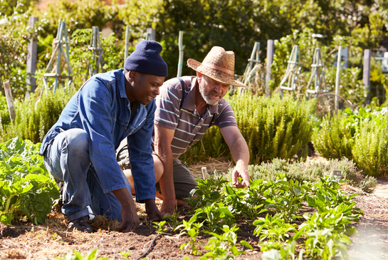 Minister for Social Justice announces support for food partnerships across Wales